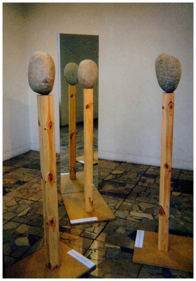 image009