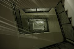 IMG_0559_R.JPG