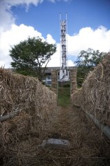 ikeda2011007_R.jpg