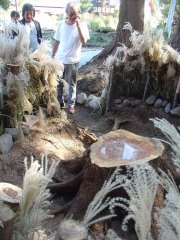 ikeda2011002_R.JPG