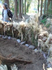 ikeda2011003_R.JPG
