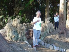 ikeda2011004_R.JPG