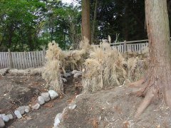 ikeda2011006_R.JPG