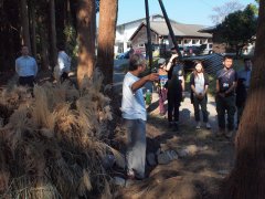 ikeda2011011_R.JPG
