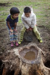 ikeda2013008_R.jpg