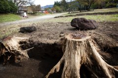 ikeda2013012_R.jpg
