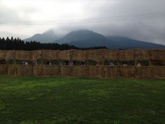 ikeda2013008_R.JPG