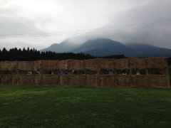 ikeda2013010_R.JPG