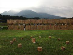 ikeda2013011_R.JPG