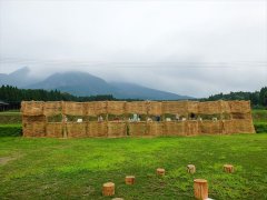 ikeda2013013_R.jpg
