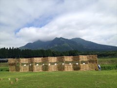 ikeda2013014_R.jpg