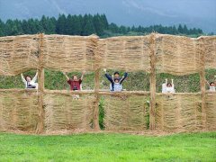 ikeda2013016_R.jpg