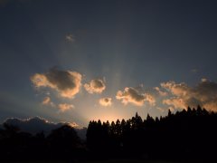 PA260925.JPG