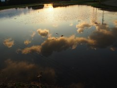 PA260940.JPG