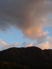 PA260946.JPG